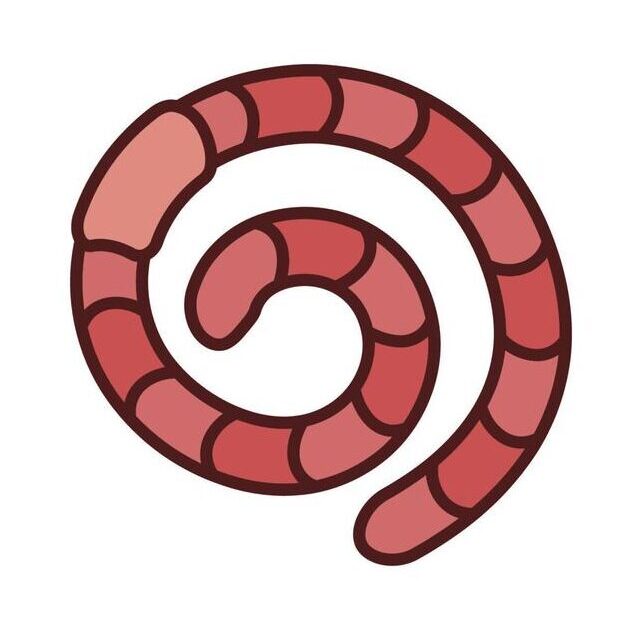 recordworm Logo